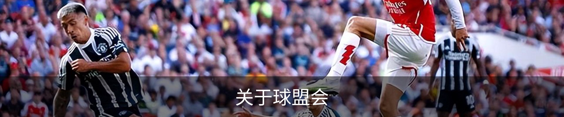 关于球盟会